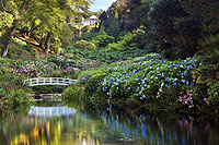 Trebah Gardens
